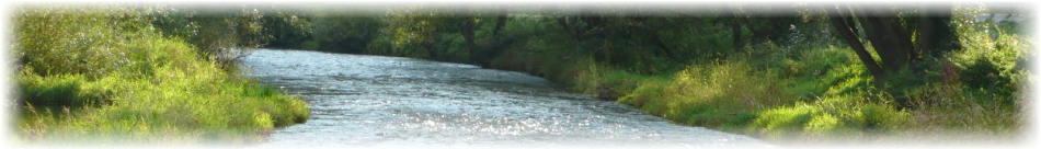 Grafik des Titelbereiches