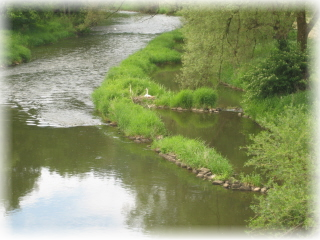 Saaleabschnitt nach Schonderfelder Brücke