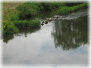 Saaleabschnitt nach Schonderfelder Brücke